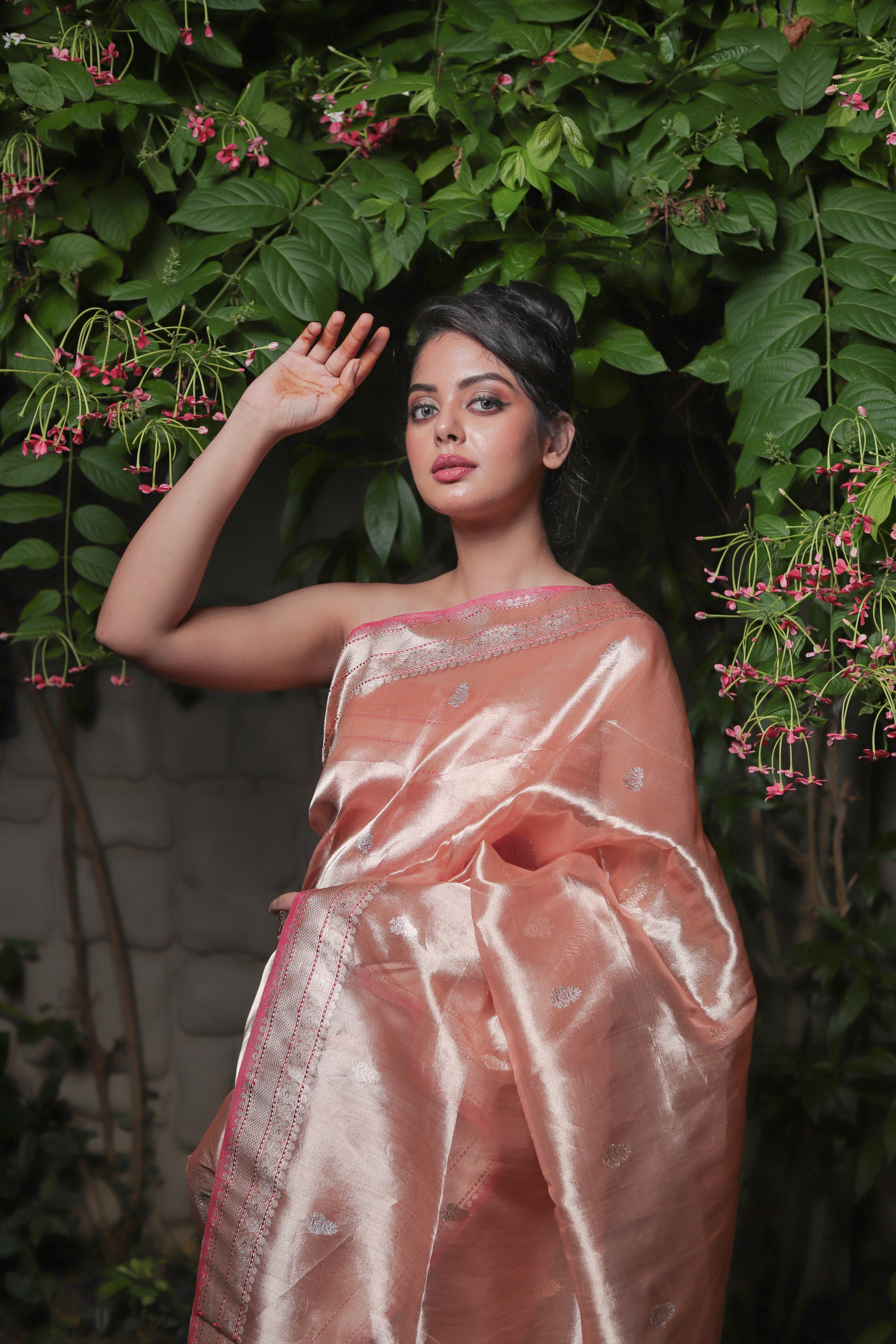 Banarasi Tissue Saree